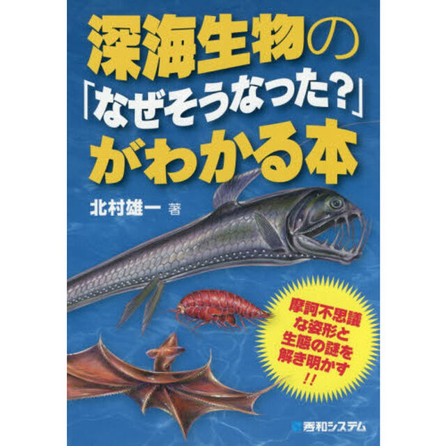 深海生物の「なぜそうなった？」がわかる本　摩訶不思議な姿形と生態の謎を解き明かす！！