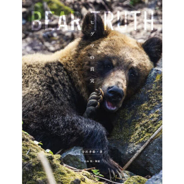 ヒグマの真実