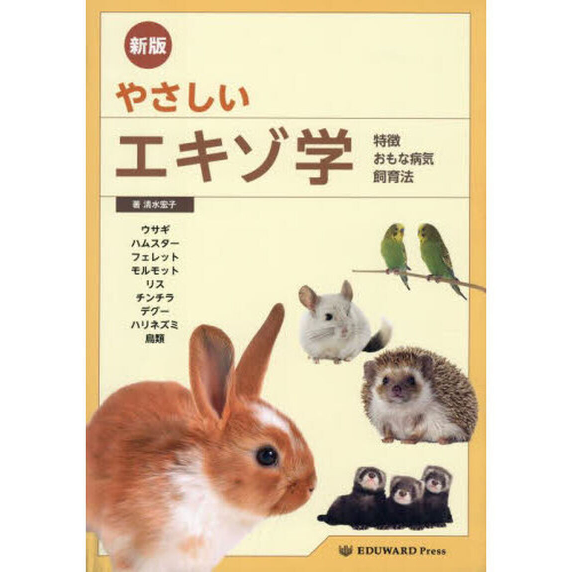 やさしいエキゾ学