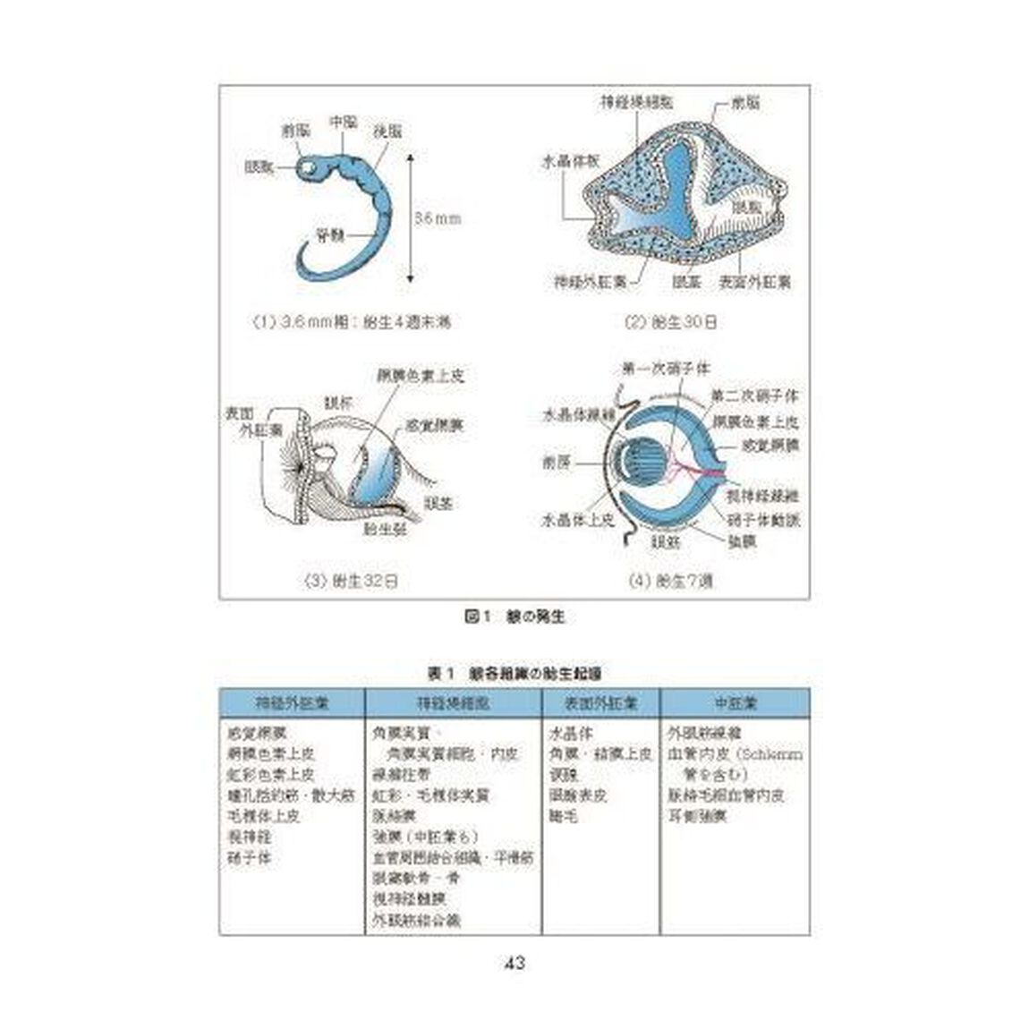 イラスト眼科「第８版」
