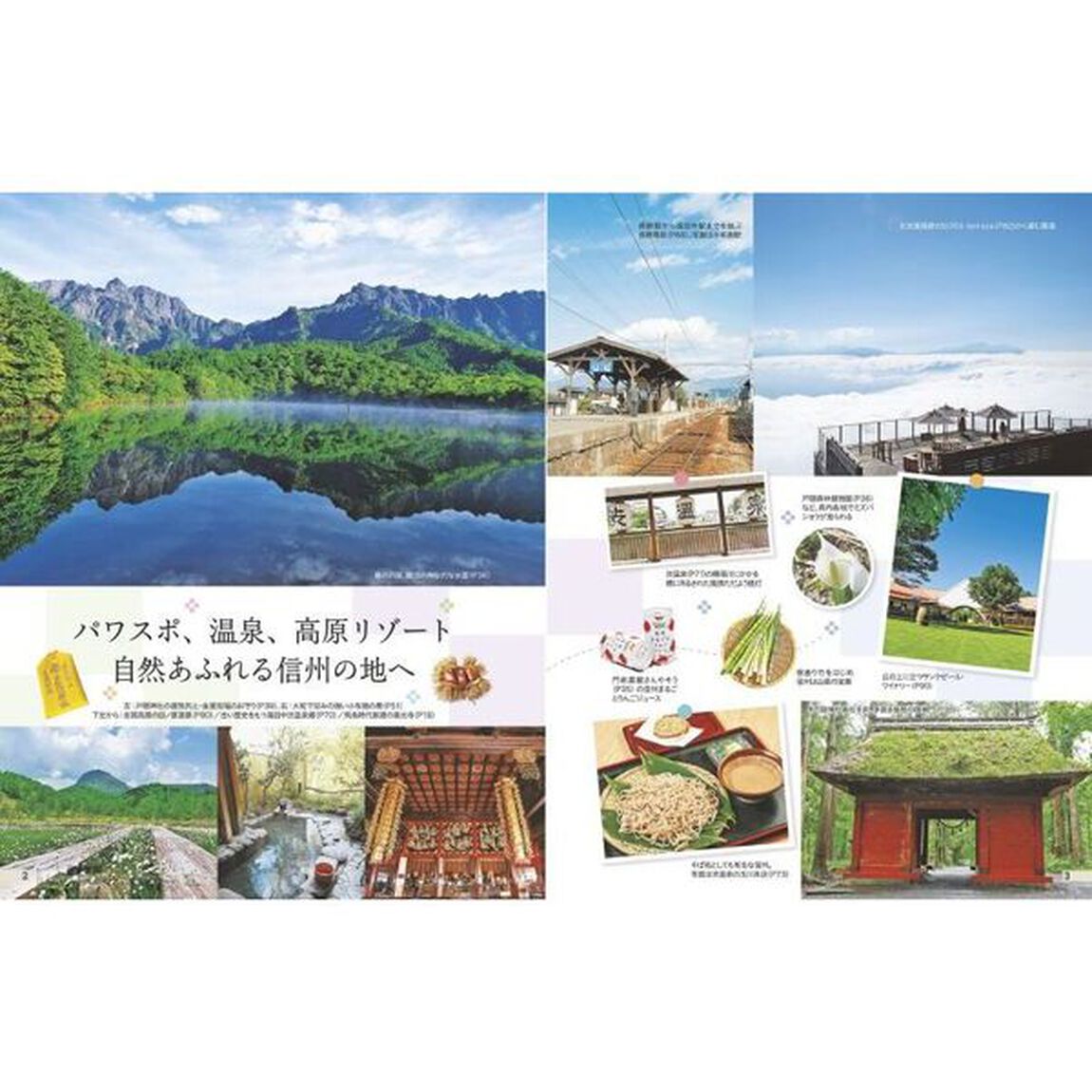 長野　小布施　戸隠　湯田中渋温泉郷　〔２０２４〕
