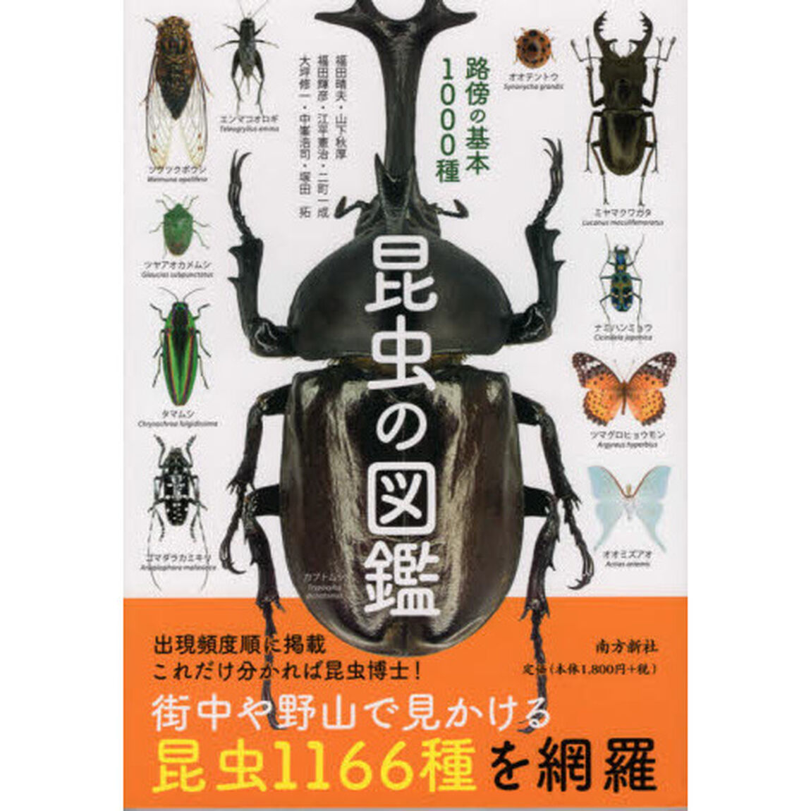 昆虫の図鑑路傍の基本１０００種