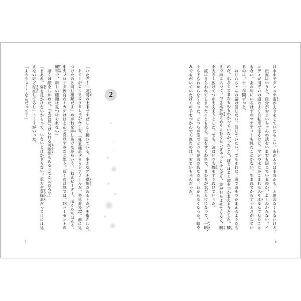 マナティーがいた夏