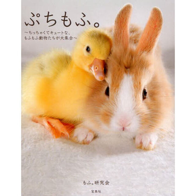 ぷちもふ。　ちっちゃくてキュートな、もふもふ動物たちが大集合