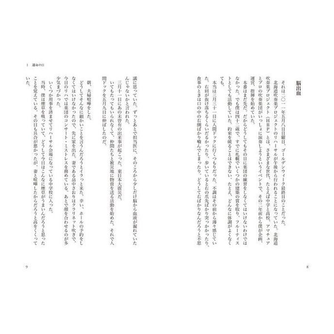 左手のフルーティスト