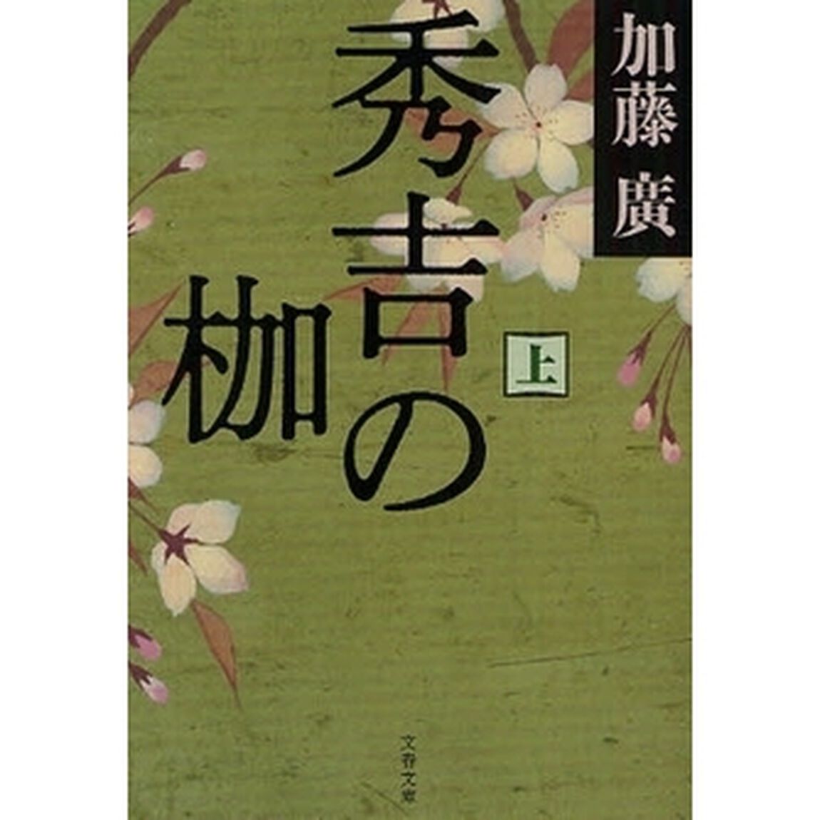 秀吉の枷　上