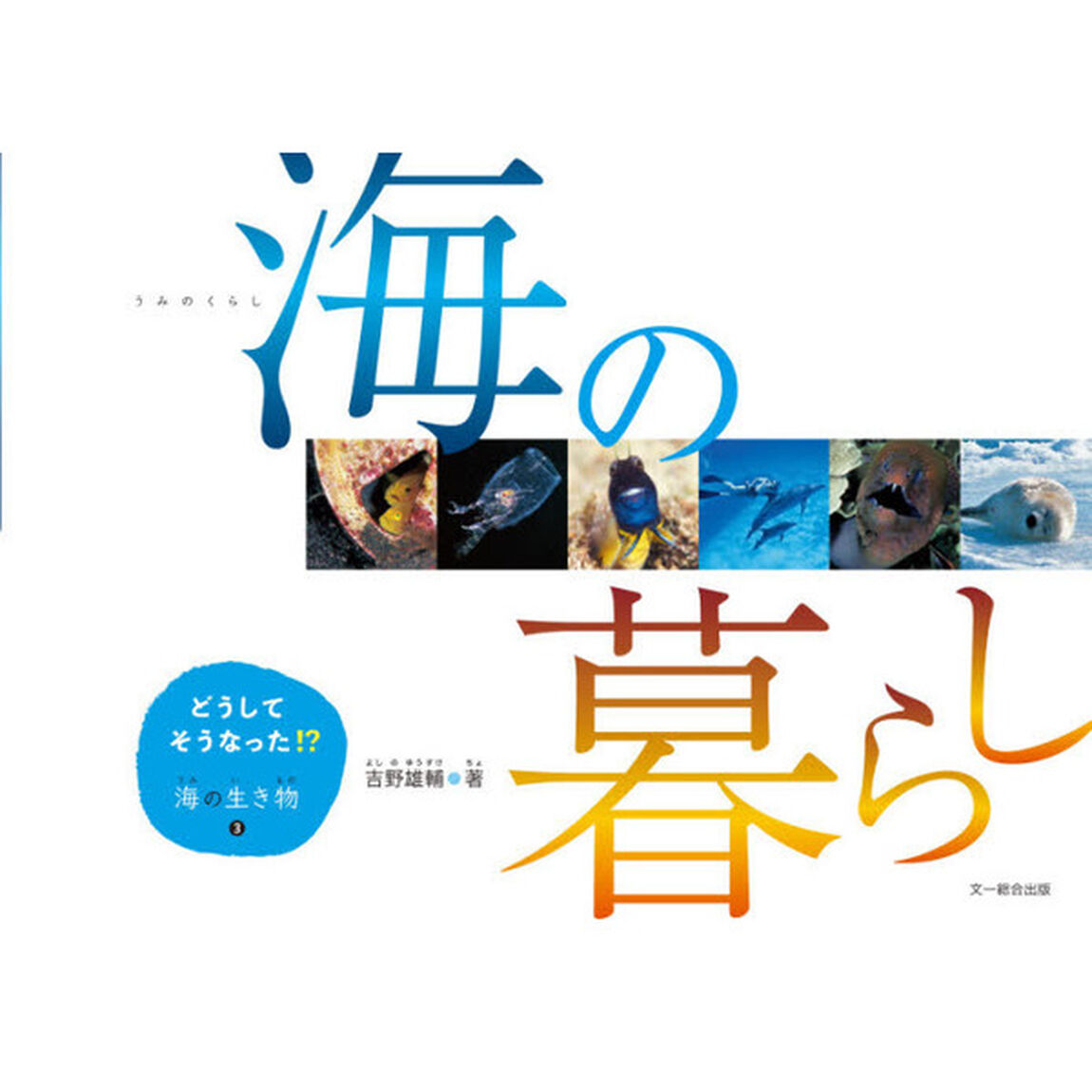 どうしてそうなった！？海の生き物　３「海の暮らし」