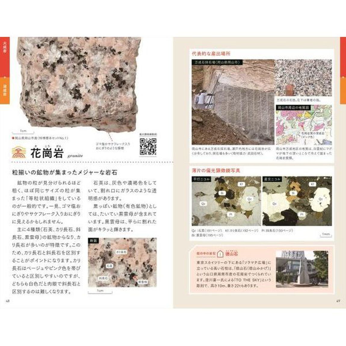 観察を楽しむ特徴がわかる岩石図鑑