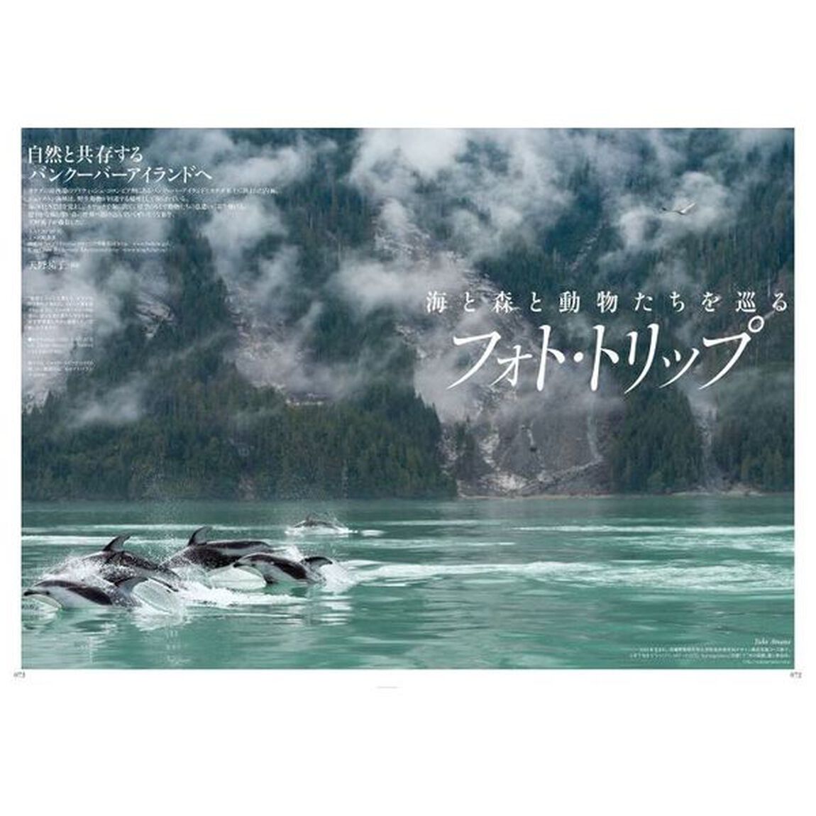 ＬＡＴ．３５&deg;Ｎ　旅&times;カメラＳｔｙｌｅ　ｍａｇａｚｉｎｅ　ｖｏｌ．０１（２０１５ＳＰＲＩＮＧ）「特集パリを撮る　カナダ／京都」