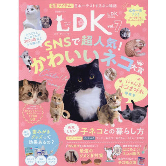 ネコＤＫ　ｖｏｌ．７「ＳＮＳ超人気ネコ＆子ネコ用グッズかわいいネコまみれ特集号」