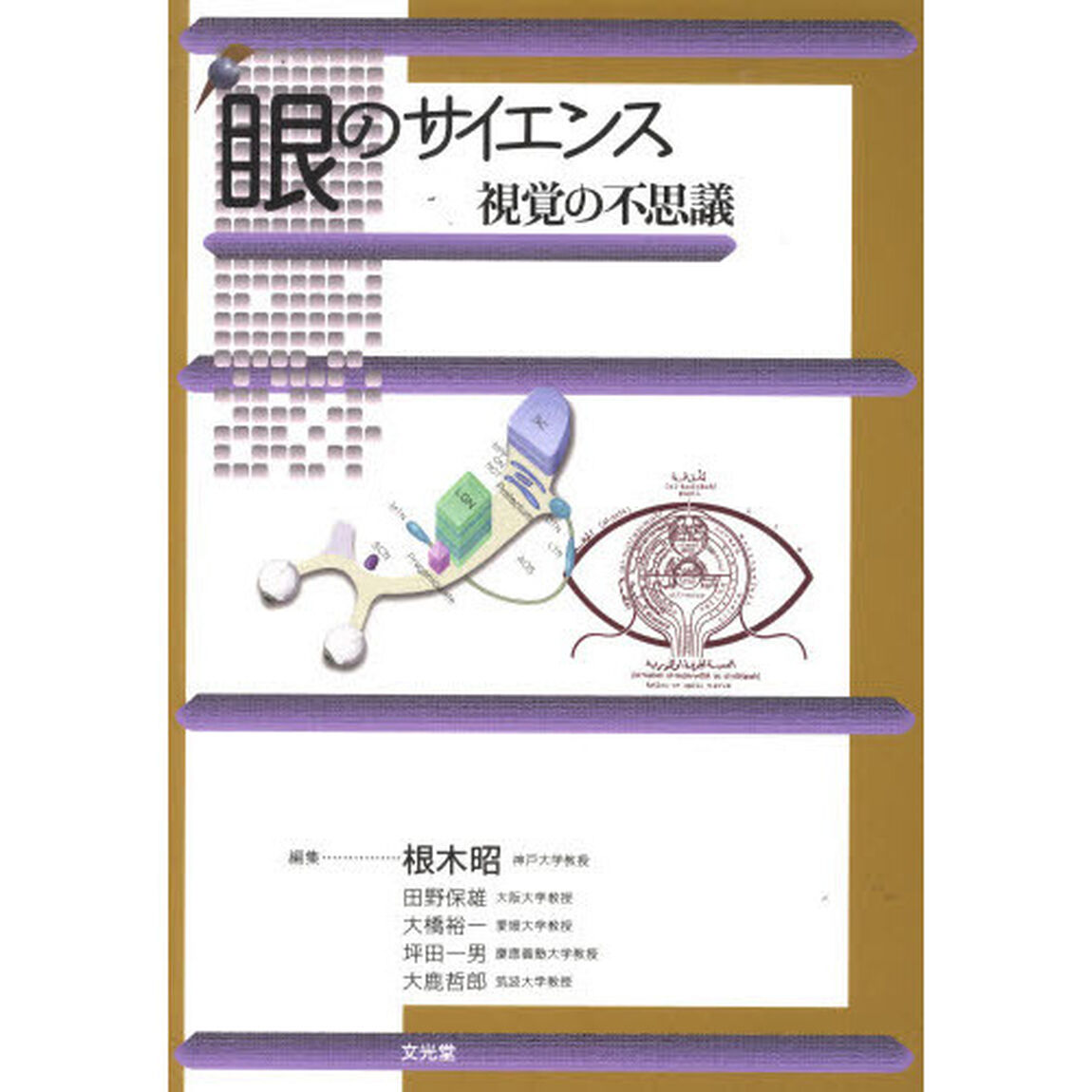 眼のサイエンス　視覚の不思議