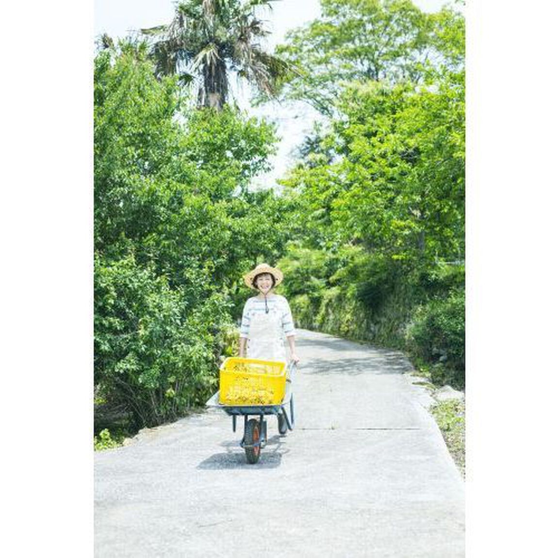 直見工房　財前さんちの春夏秋冬のごはんと暮らし