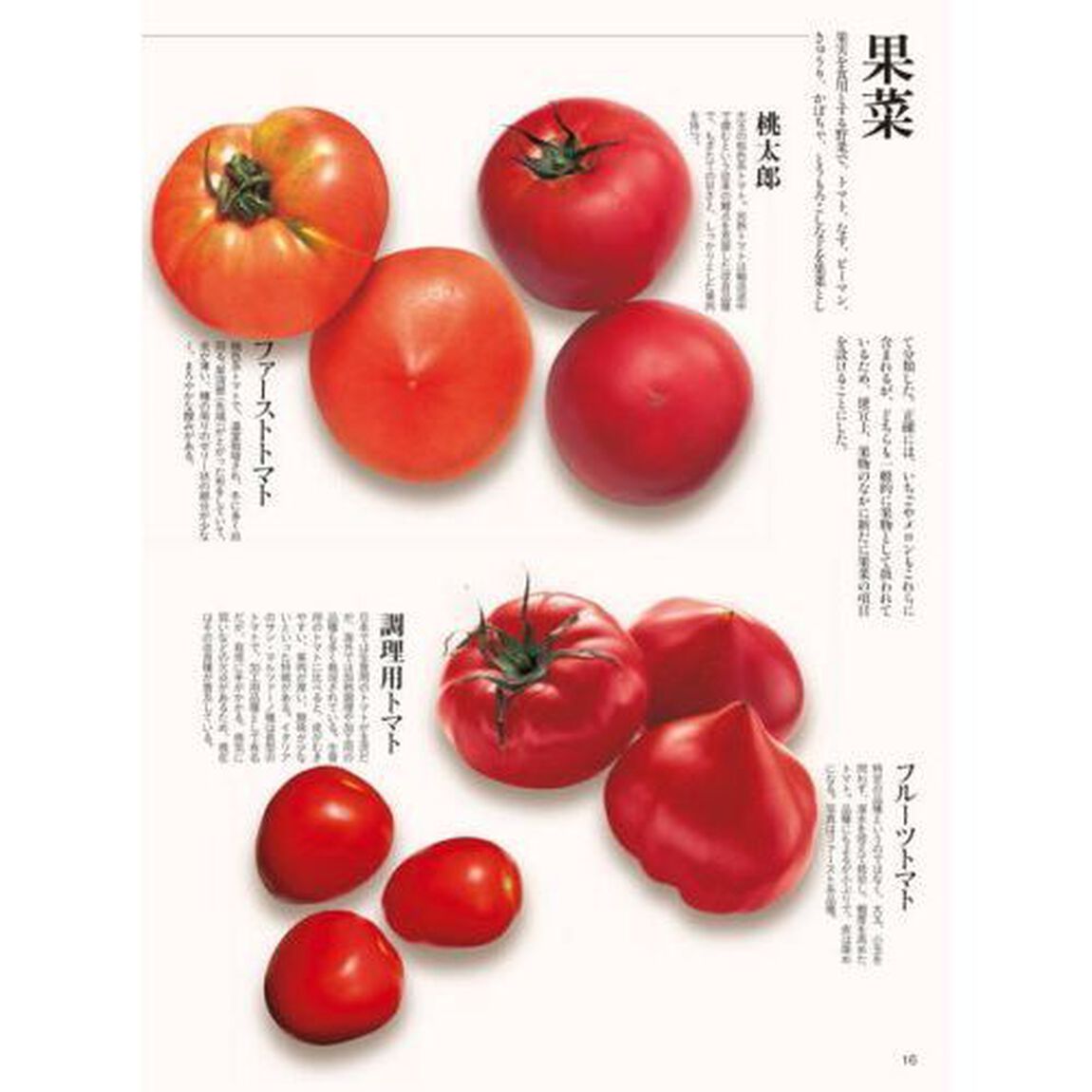 完全改訂版 食材大図鑑 Marche「完全改訂版」