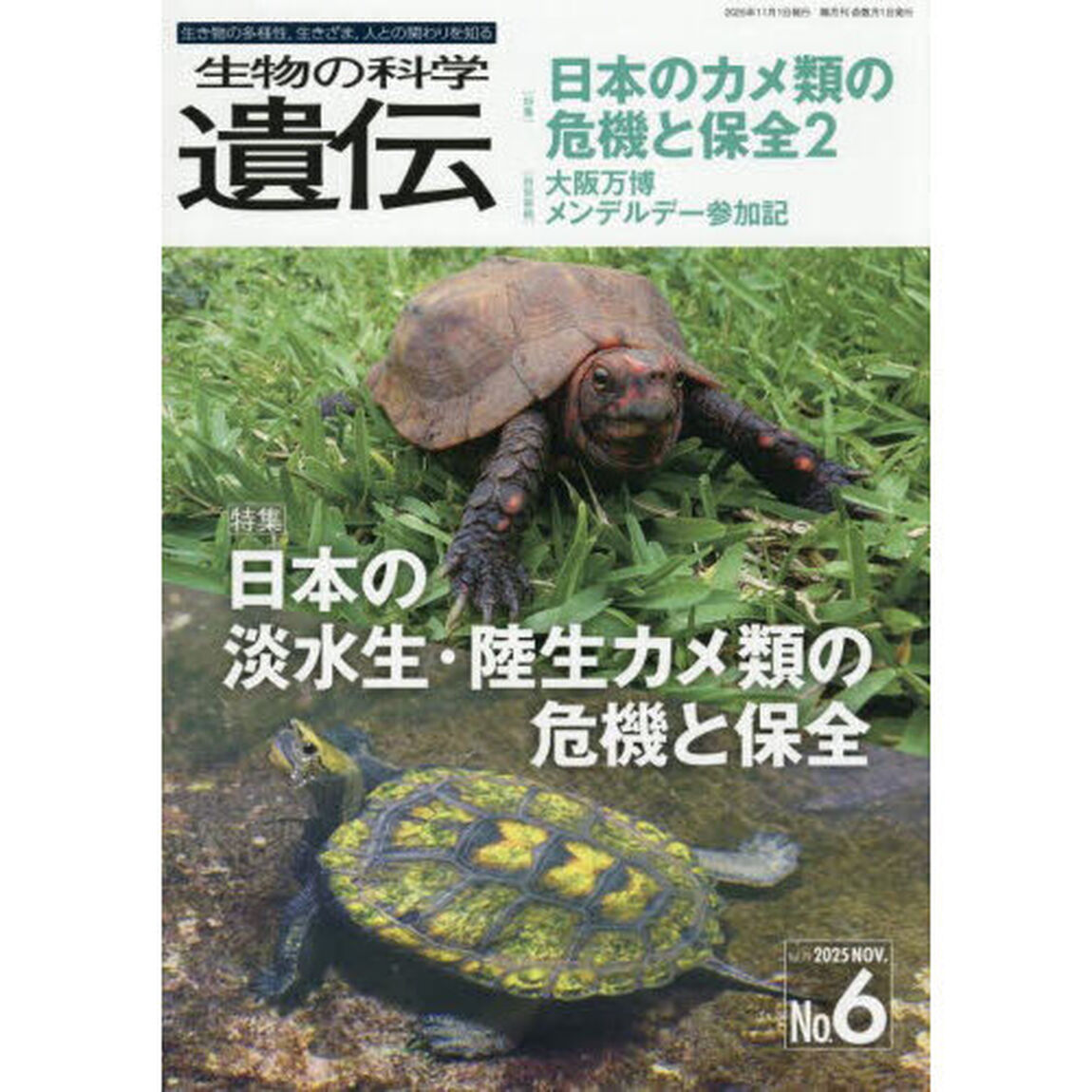 生物の科学遺伝　Ｖｏｌ．７９Ｎｏ．６（２０２５ＮＯＶ．）「日本の淡水生・陸生カメ類の危機と保全」
