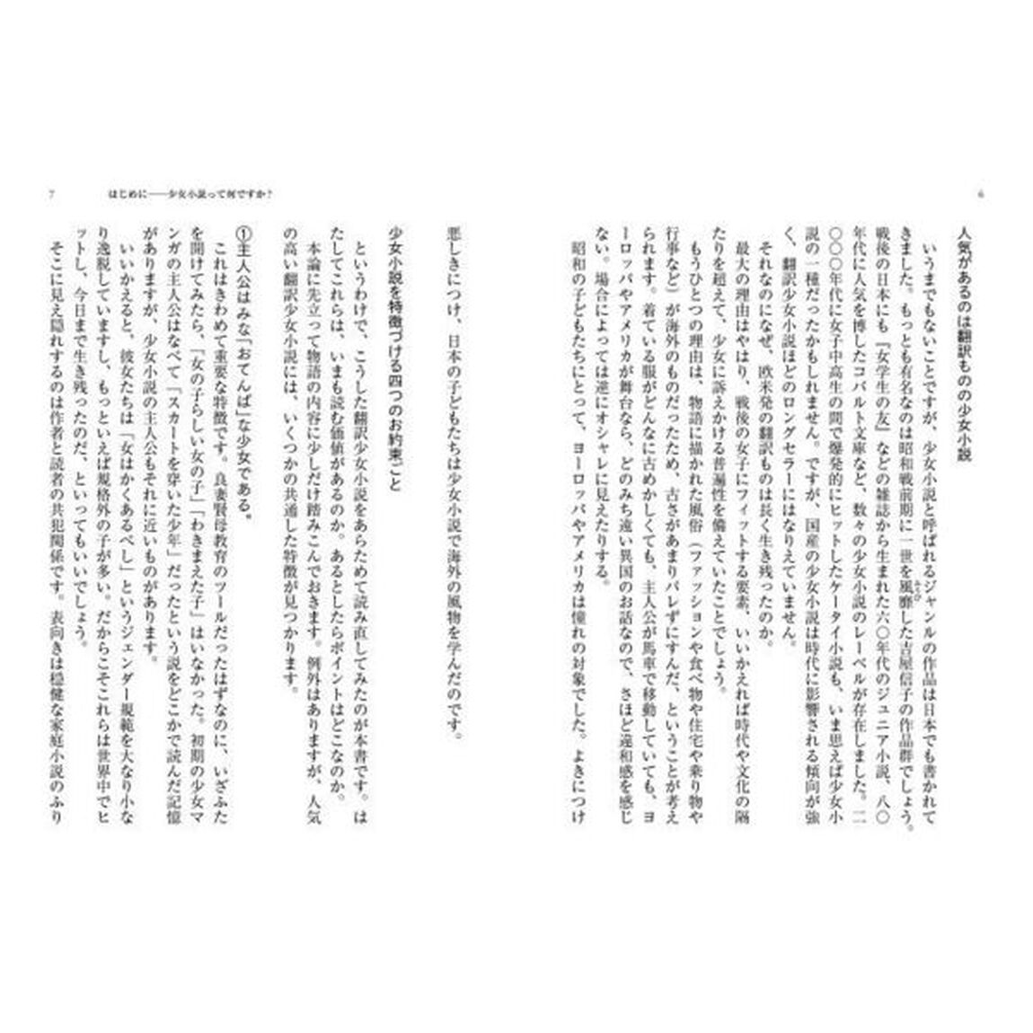 挑発する少女小説