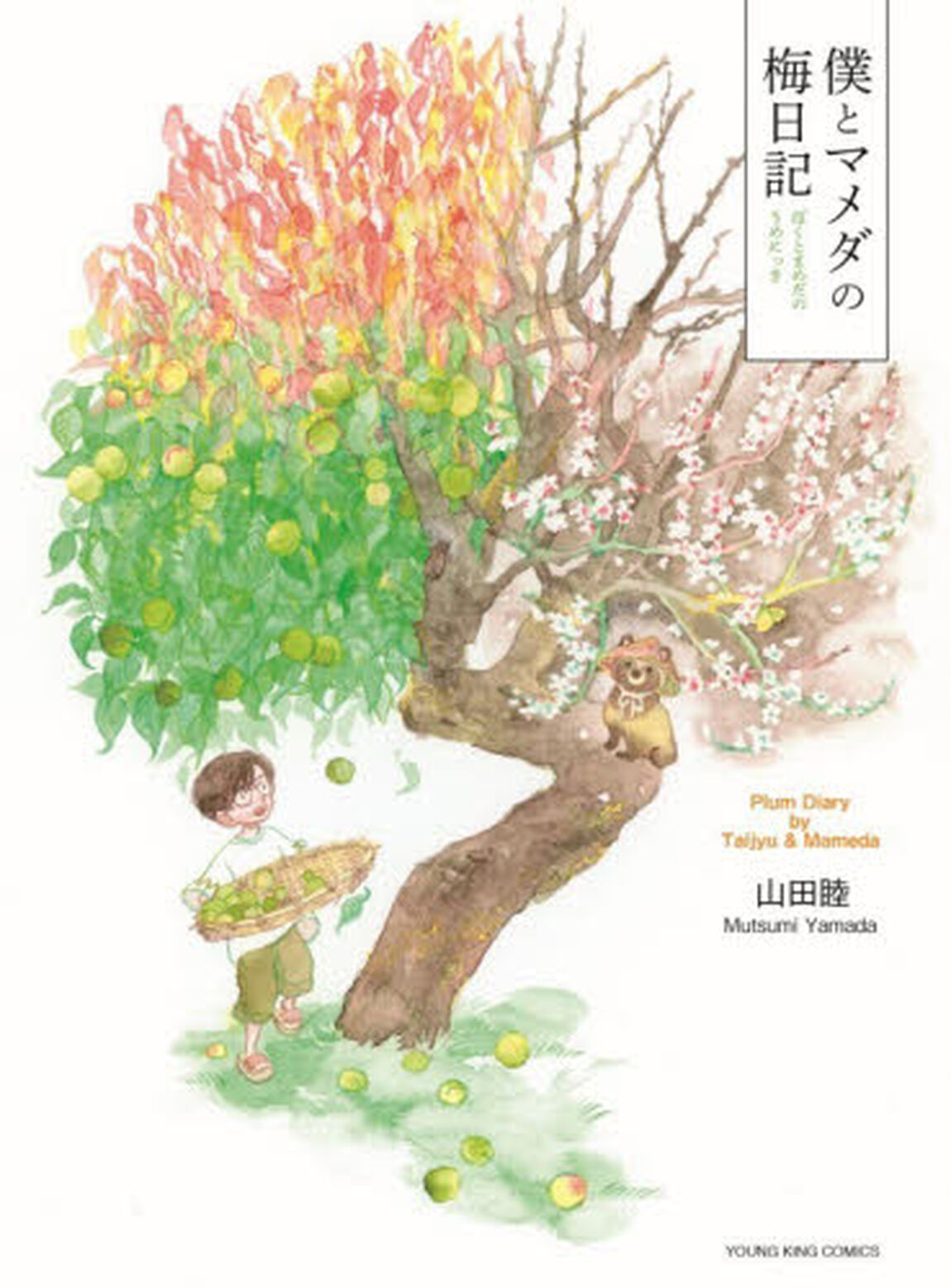 僕とマメダの梅日記