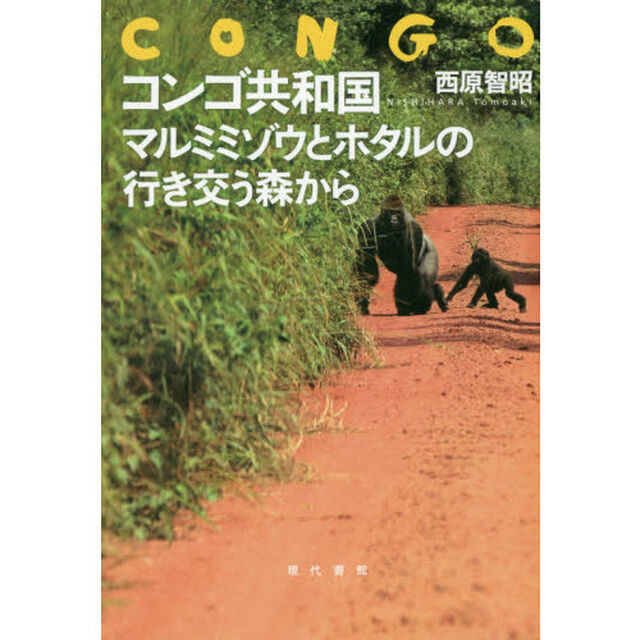 コンゴ共和国　マルミミゾウとホタルの行き交う森から