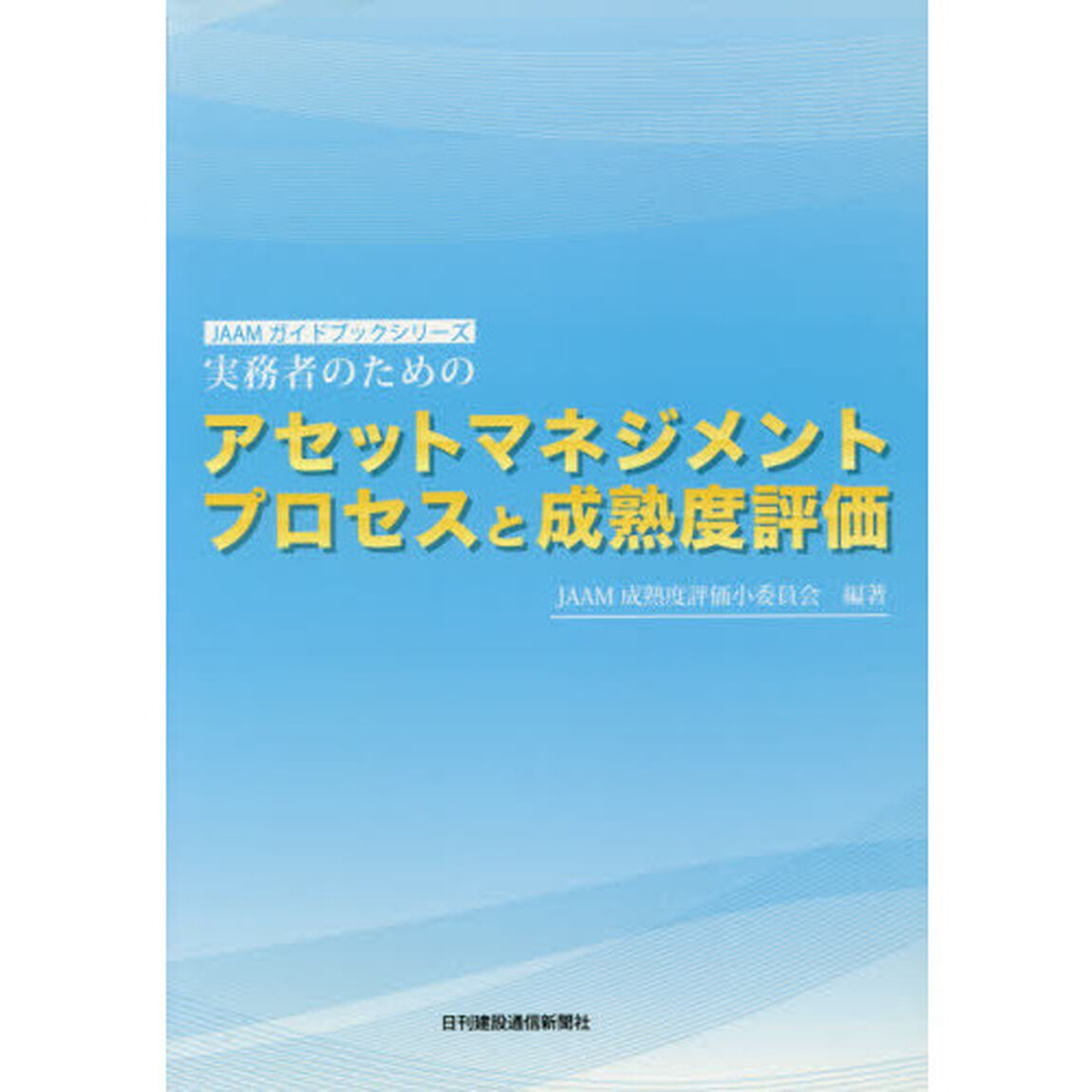 実務者のためのアセットマネジメントプロセスと成熟度評価
