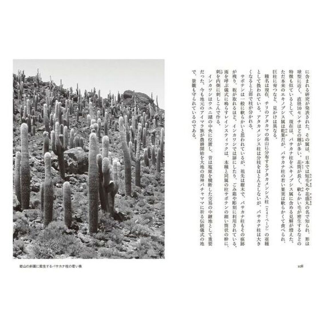 世界の絶景植物　秘境、辺境、異文化