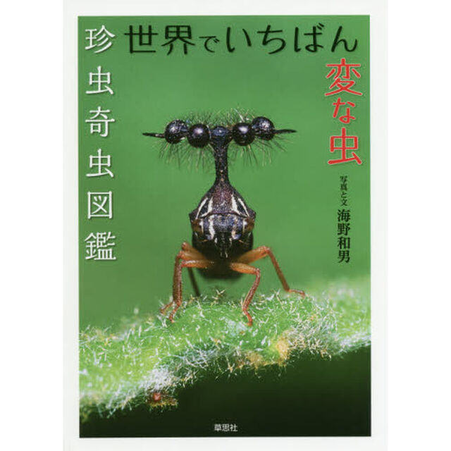 世界でいちばん変な虫　珍虫奇虫図鑑