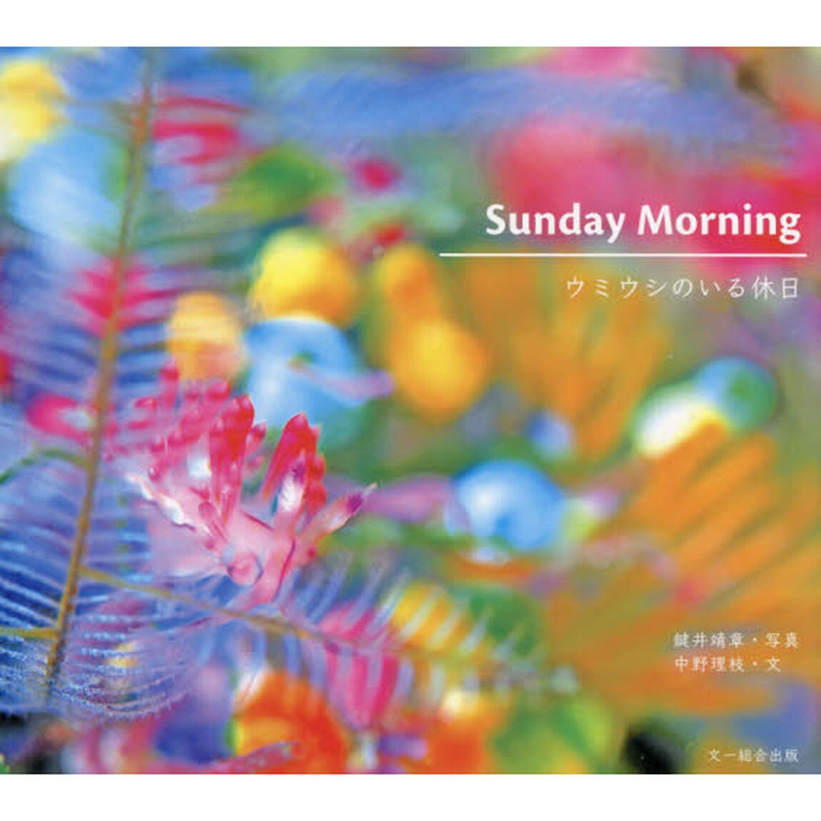 Ｓｕｎｄａｙ　Ｍｏｒｎｉｎｇ　ウミウシのいる休日