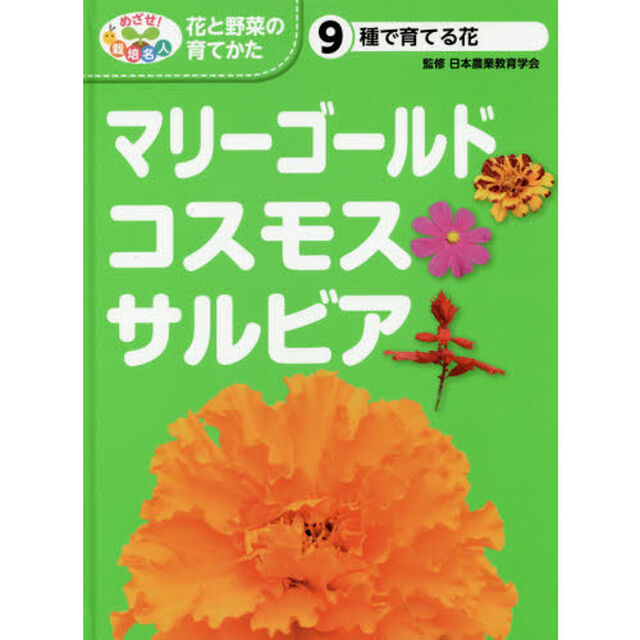 めざせ！栽培名人花と野菜の育てかた　９「マリーゴールド・コスモス・サルビア　種で育てる花」