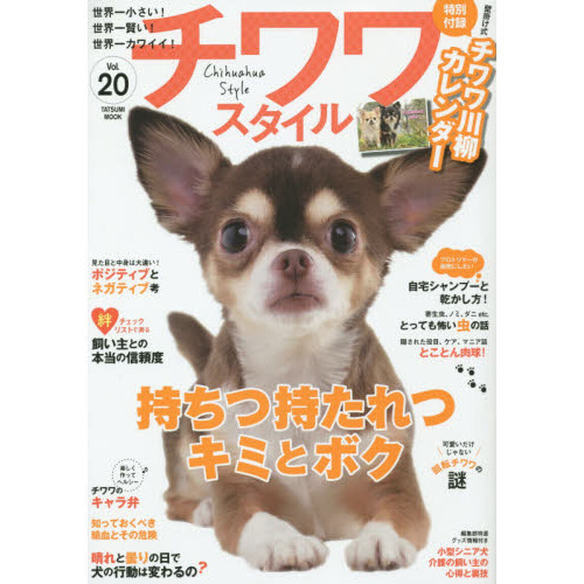 チワワスタイル　世界一小さい！世界一賢い！世界一カワイイ！　Ｖｏｌ．２０