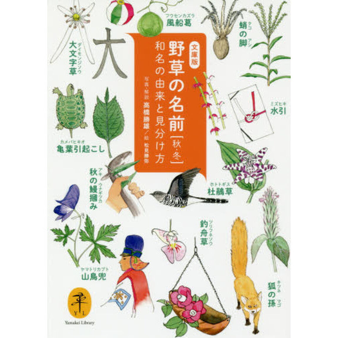 野草の名前　和名の由来と見分け方　秋・冬