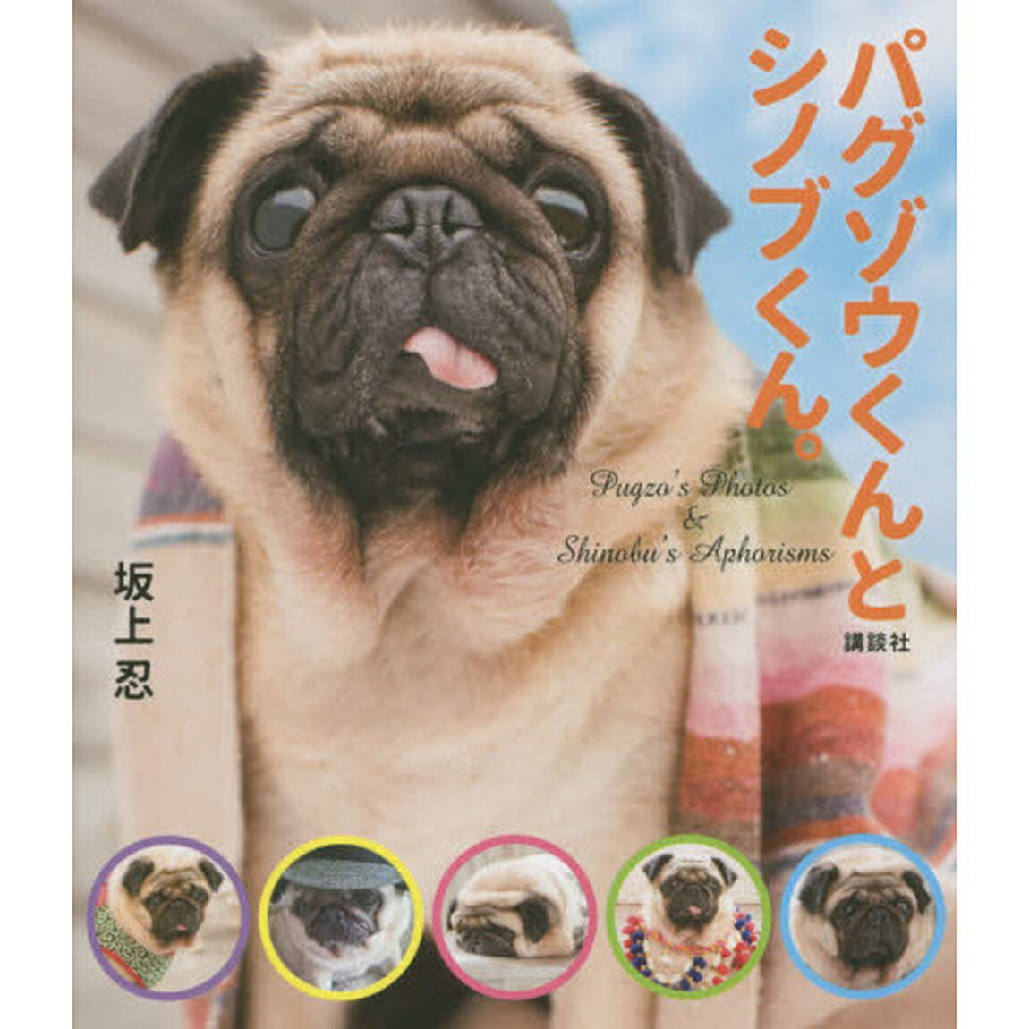 パグゾウくんとシノブくん。　Ｐｕｇｚｏ&rsquo;ｓ　Ｐｈｏｔｏｓ　＆　Ｓｈｉｎｏｂｕ&rsquo;ｓ　Ａｐｈｏｒｉｓｍｓ