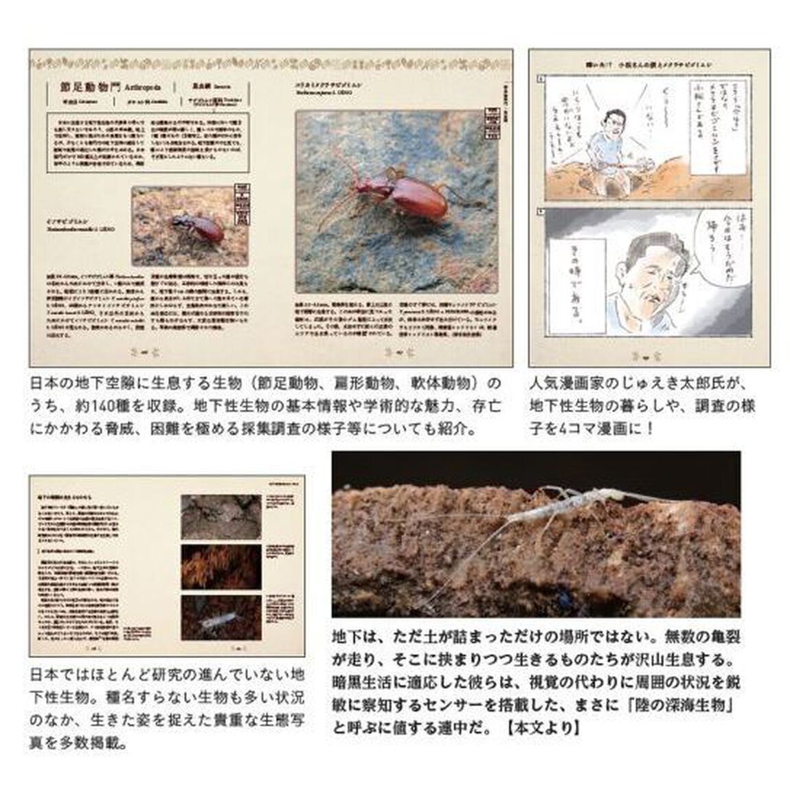 陸の深海生物　日本の地下に住む生き物