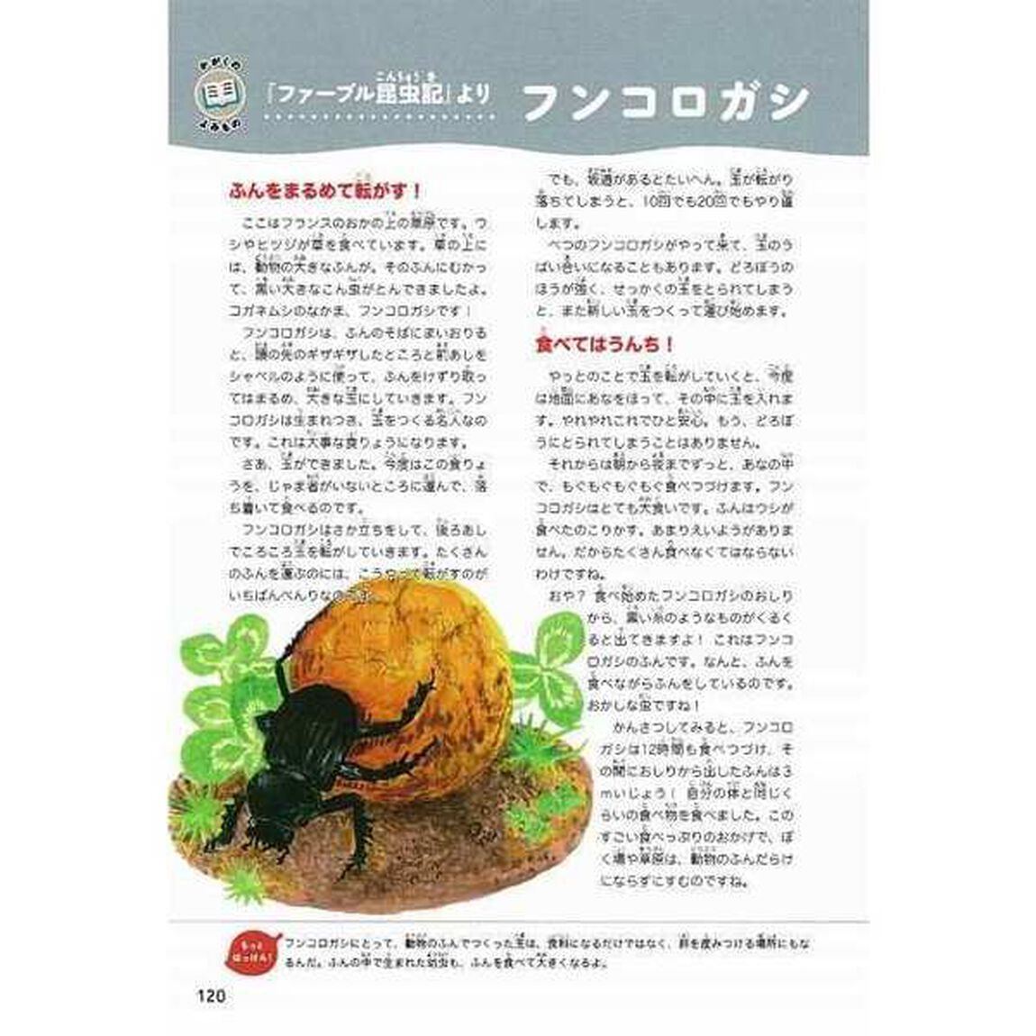 いきもののはっけん！ハンディ図鑑　しぜんとあそぼう！　知りたいがグンと高まる
