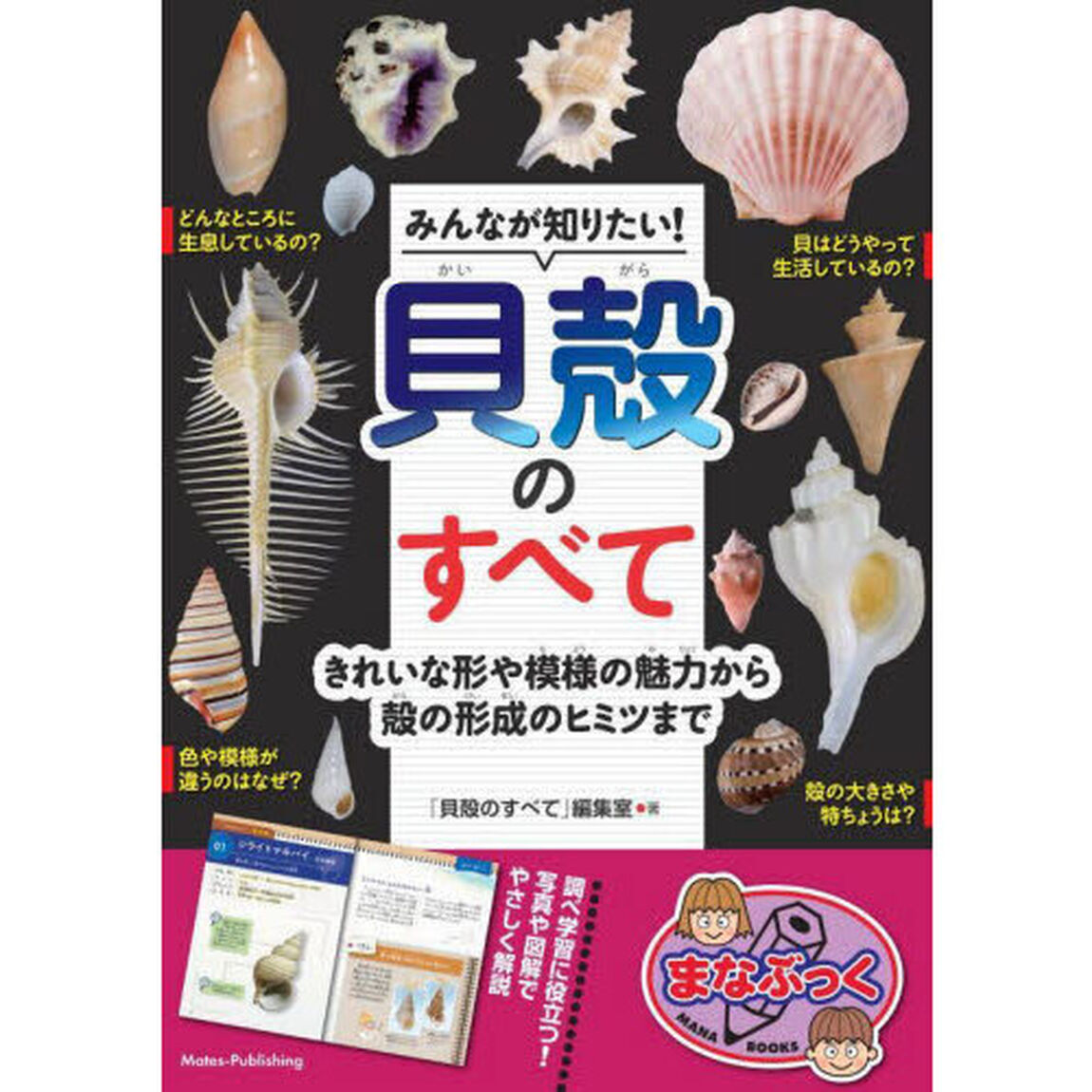 みんなが知りたい！貝殻のすべて　きれいな形や模様の魅力から殻の形成のヒミツまで