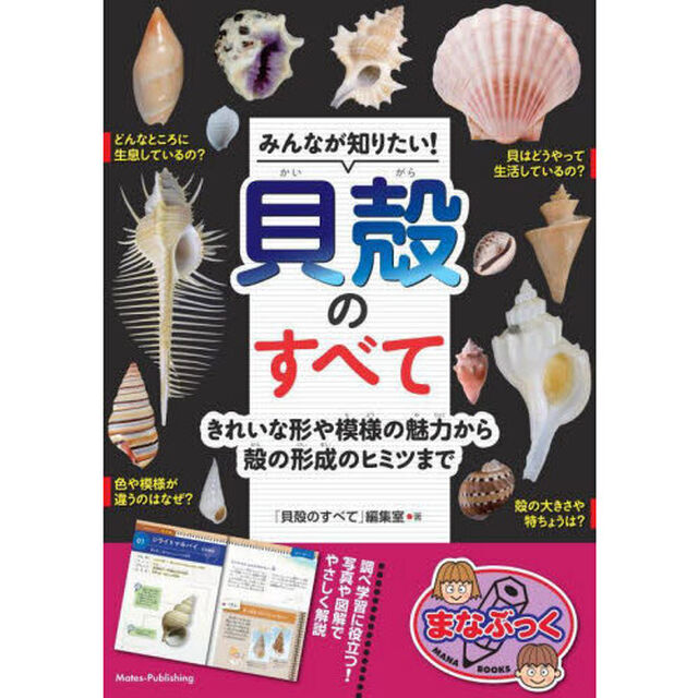 みんなが知りたい！貝殻のすべて　きれいな形や模様の魅力から殻の形成のヒミツまで
