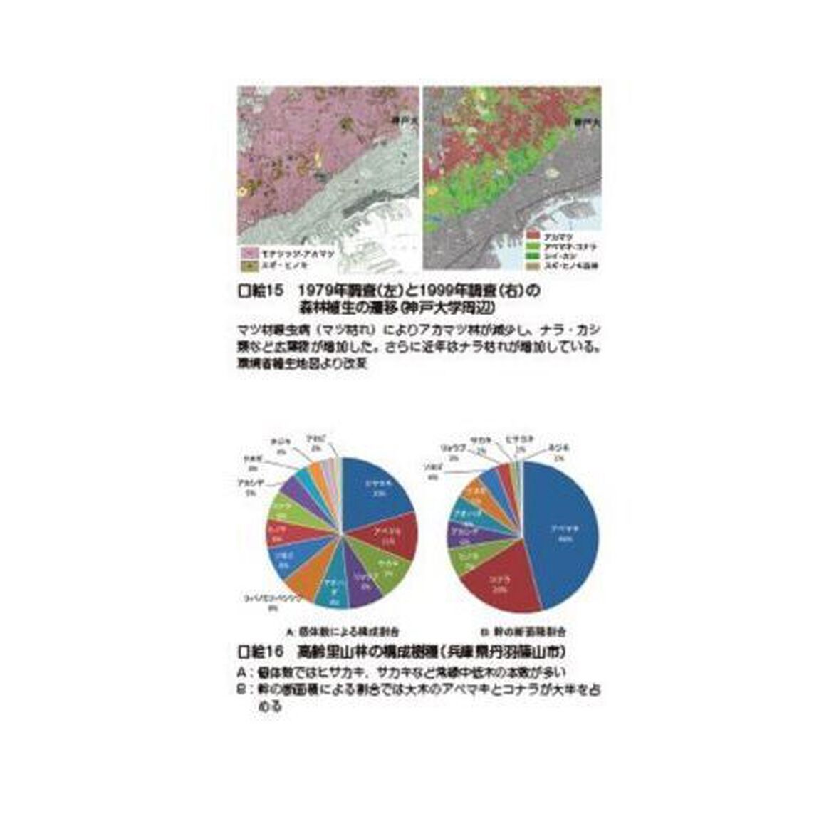 ナラ枯れ被害を防ぐ里山管理