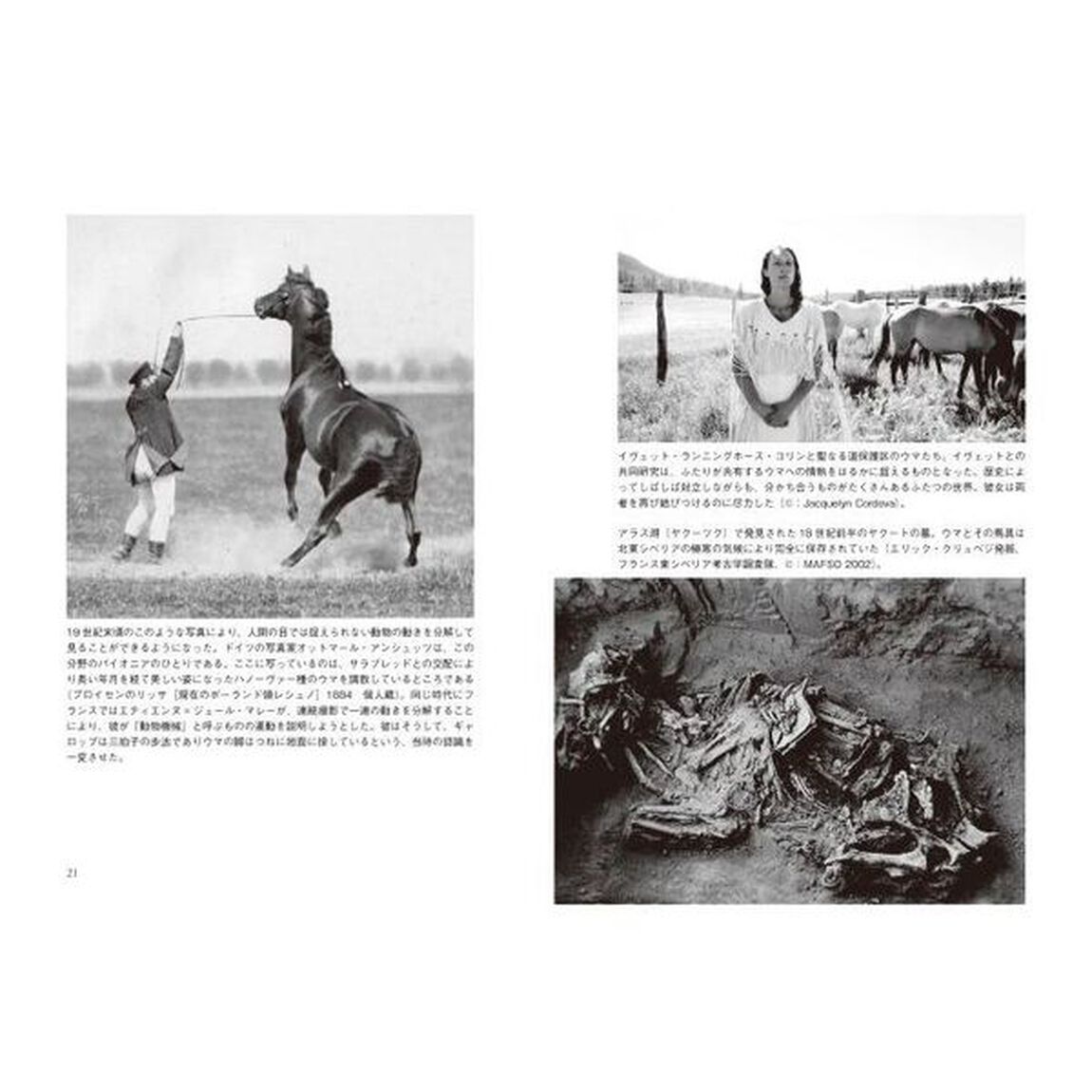 ウマの科学と世界の歴史