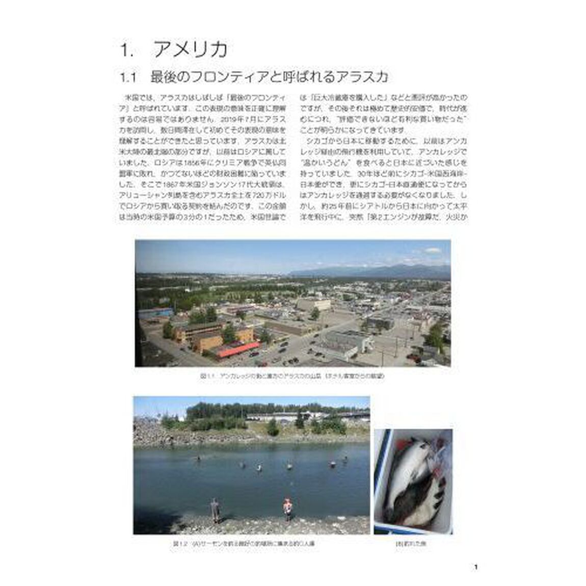 シカゴ通信　科学者の見た世界，自然と文化，人と食