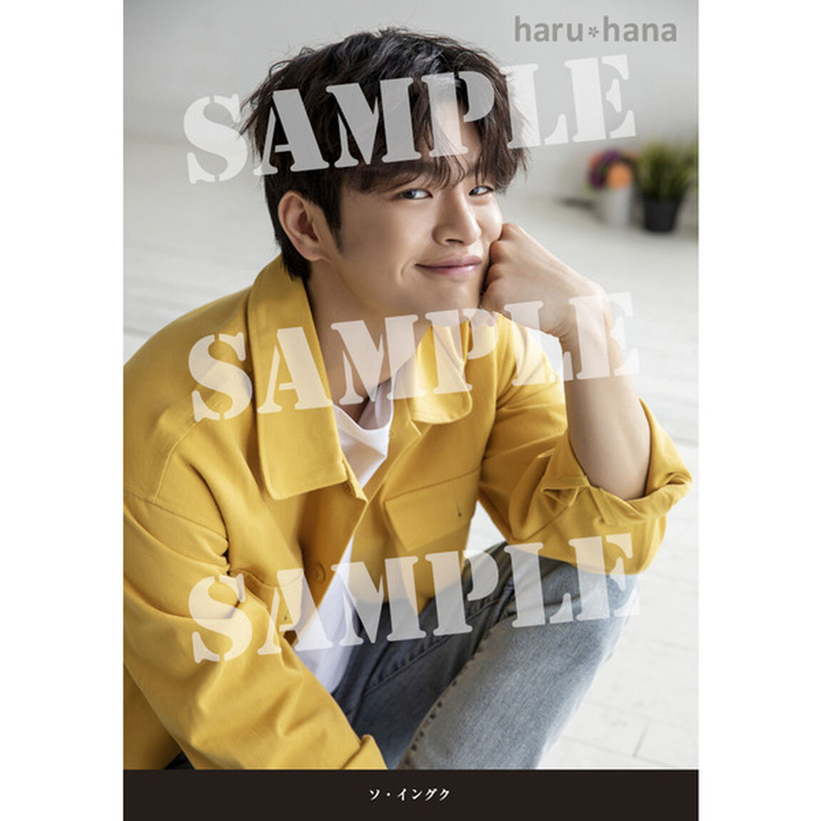 haru＊hana（ハルハナ）VOL.62【セブンネット限定特典：ソ・イングク生写真１枚付き】