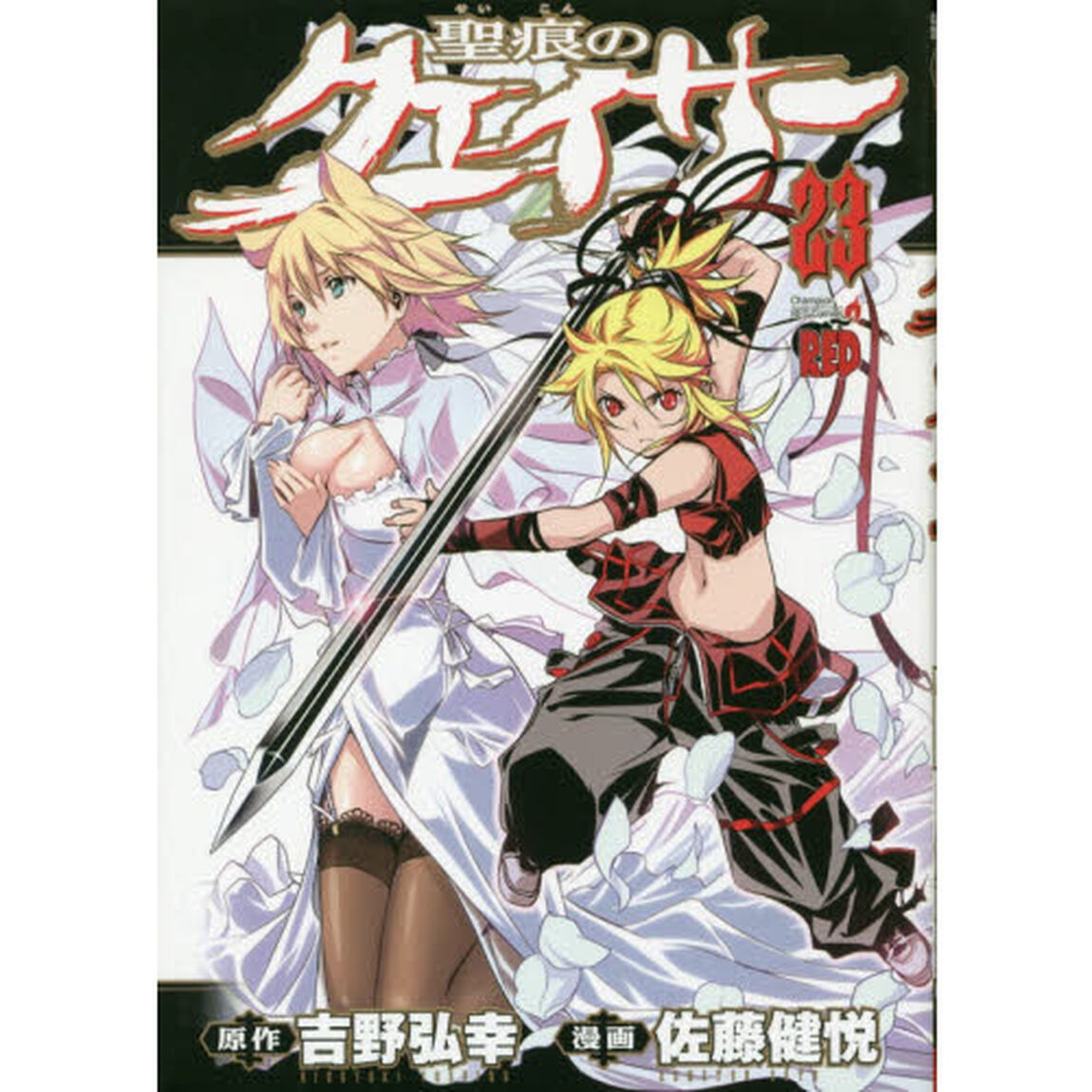 聖痕のクェイサー　２３