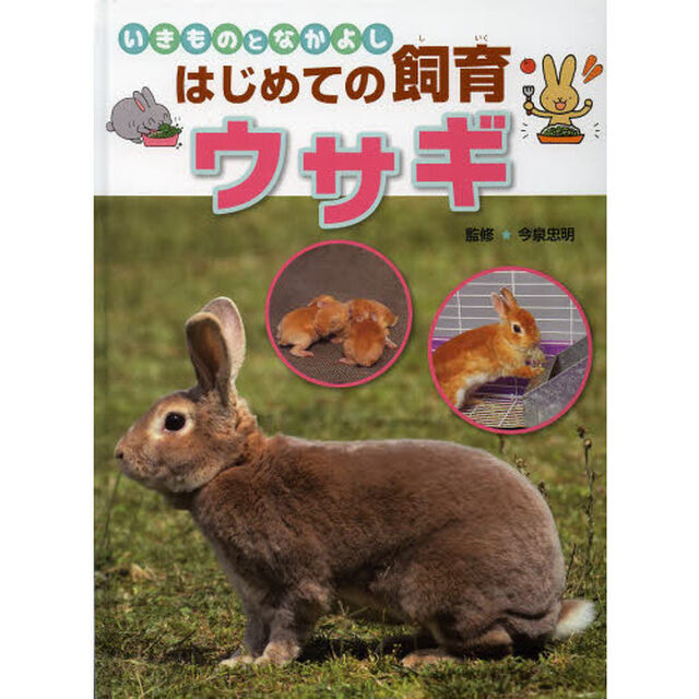 ウサギ