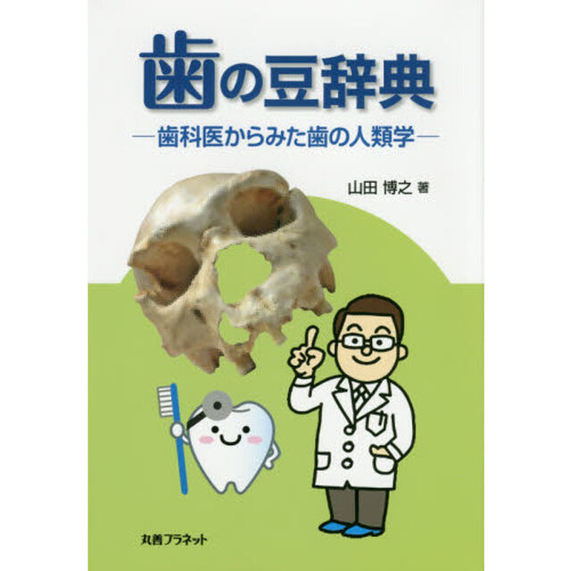 歯の豆辞典　歯科医からみた歯の人類学