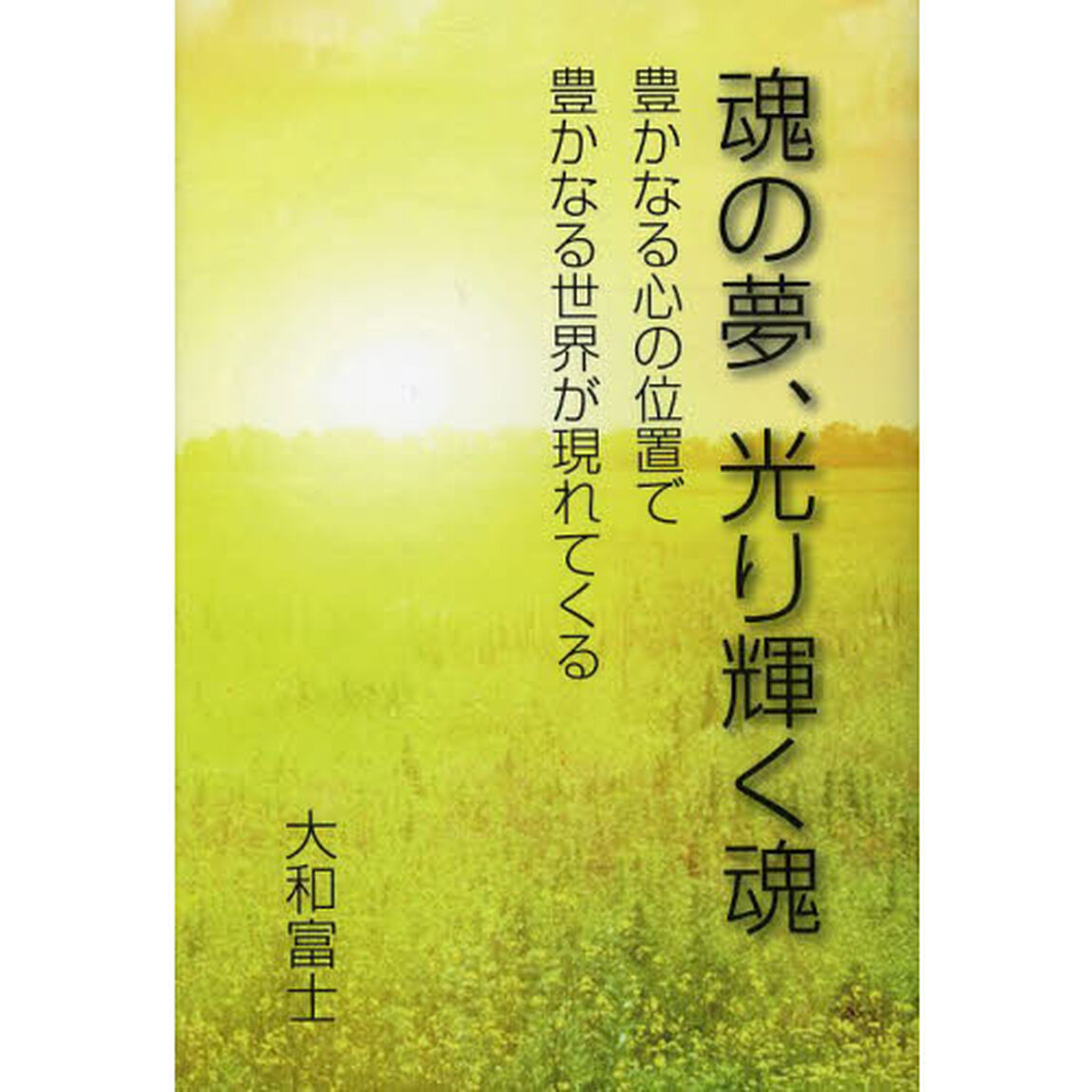 魂の夢、光り輝く魂　豊かなる心の位置で豊かなる世界が現れてくる