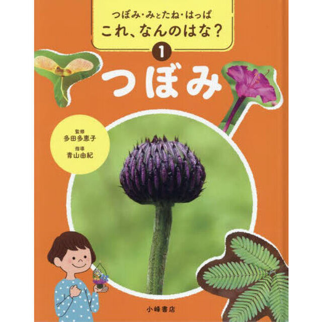 これ、なんのはな？　つぼみ・みとたね・はっぱ　１「つぼみ」