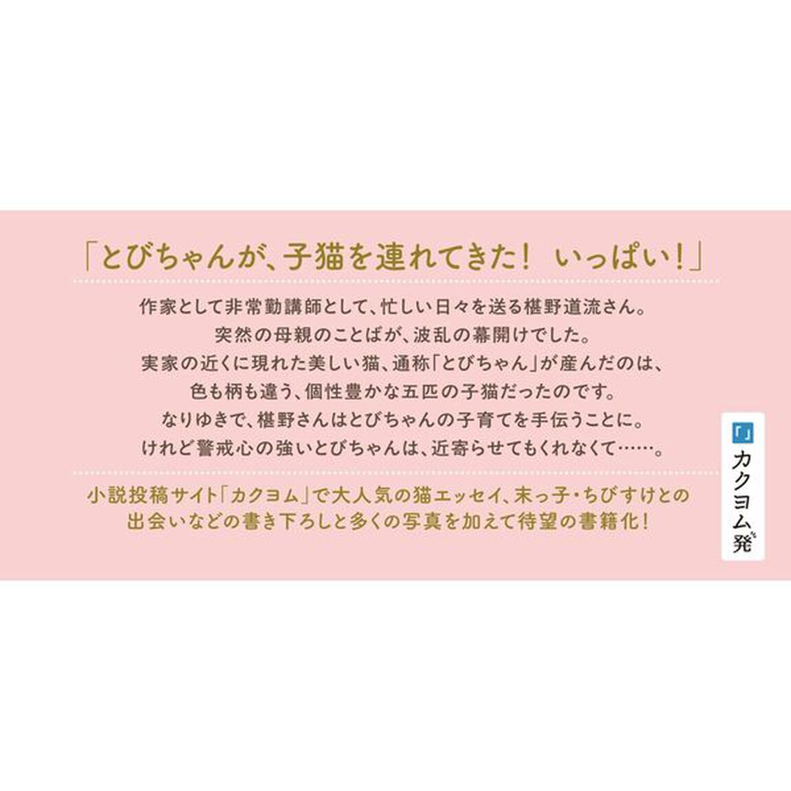 猫と私