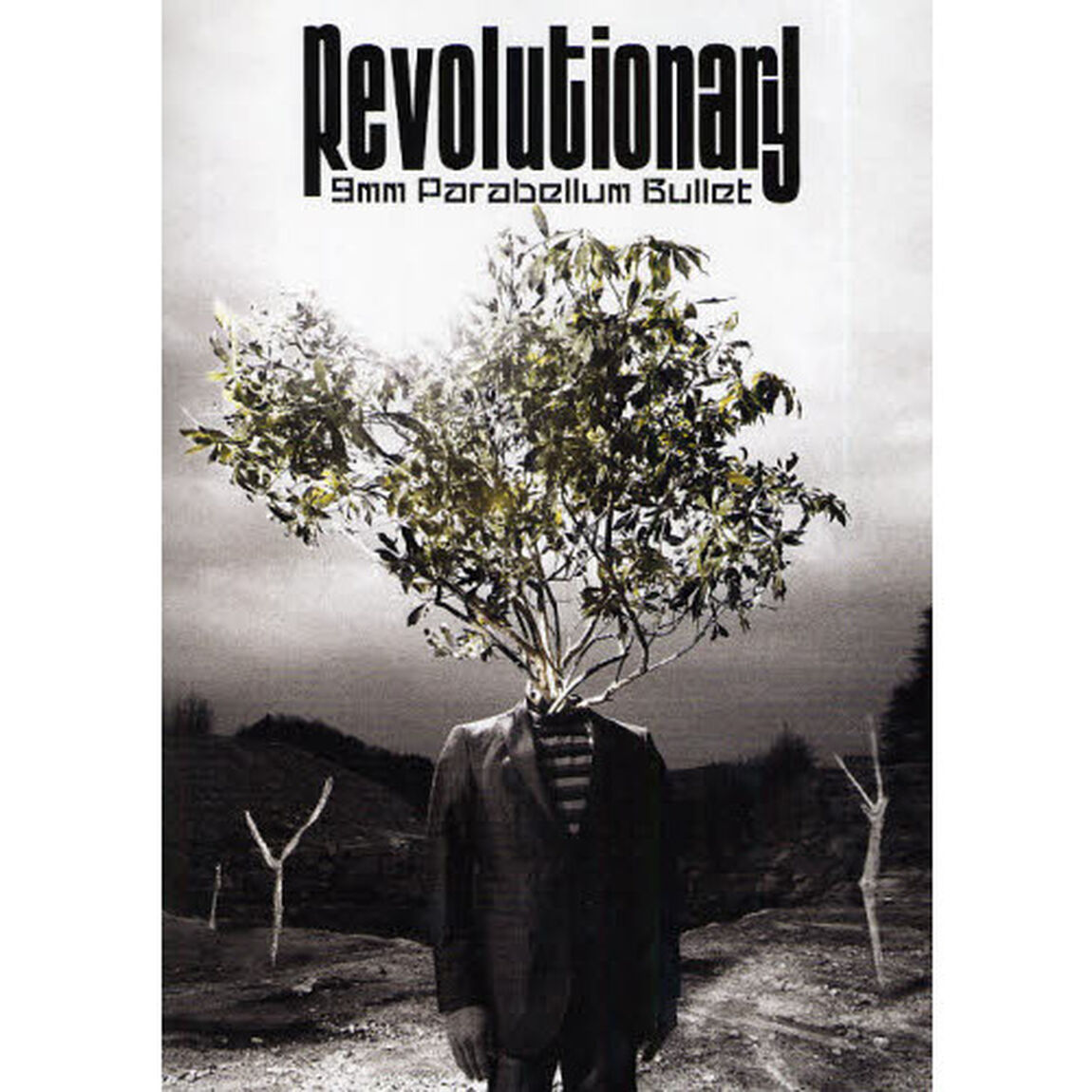 ９ｍｍ　Ｐａｒａｂｅｌｌｕｍ　Ｂｕｌｌｅｔ／ＲＥＶＯＬＵＴＩＯＮＡＲＹ