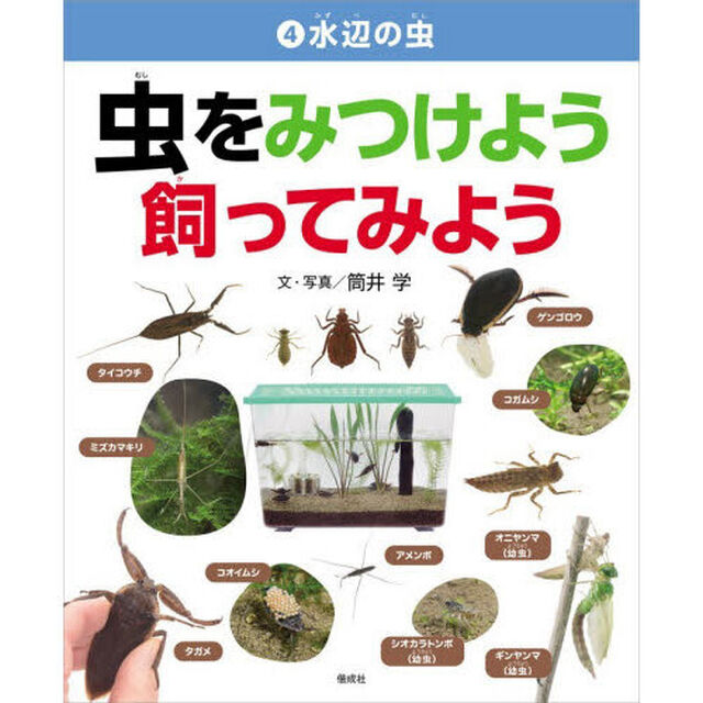 虫をみつけよう飼ってみよう　４「水辺の虫」