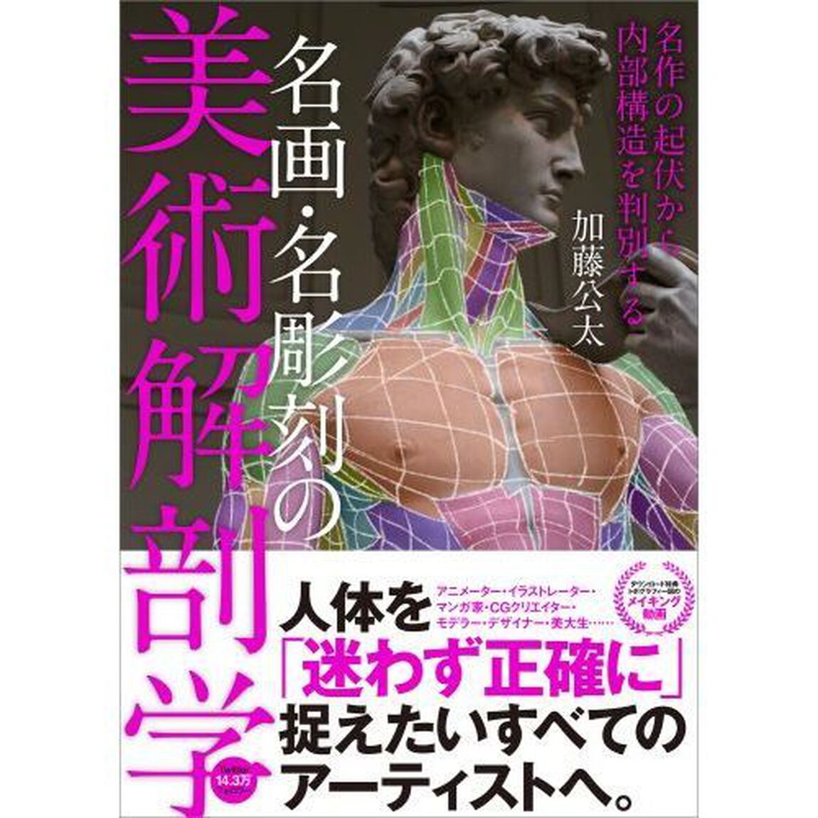 名画・名彫刻の美術解剖学　名作の起伏から内部構造を判別する