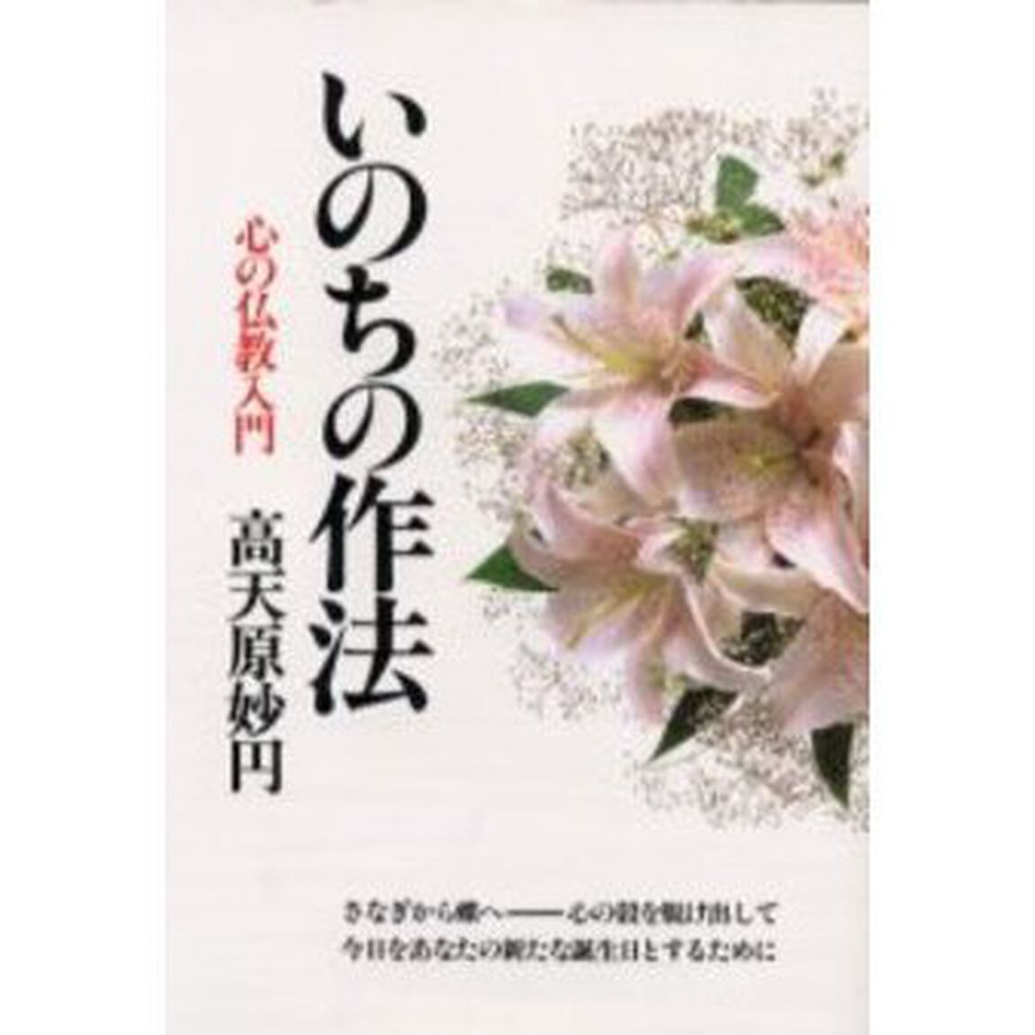 いのちの作法　心の仏教入門