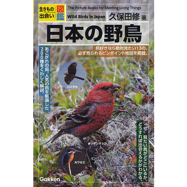 日本の野鳥 (生きもの出会い図鑑)