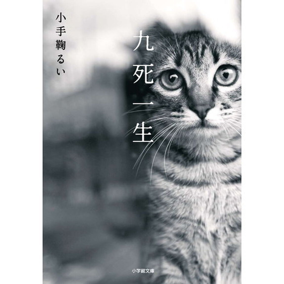 九死一生