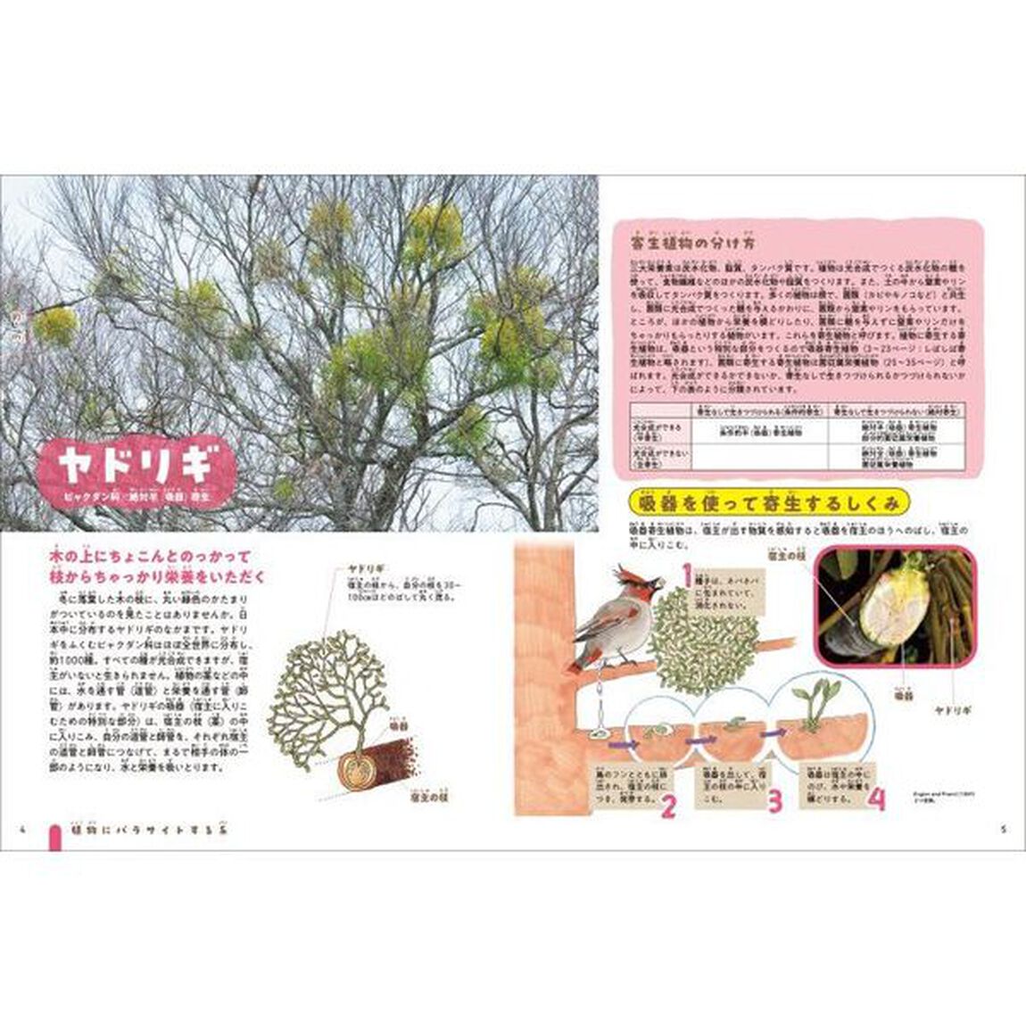 技あり！モーレツ植物ずかん　３「植物にパラサイトする系・菌にパラサイトする系」